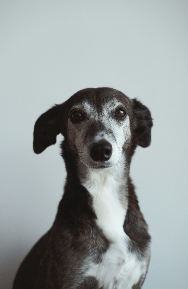 Иконка услуги